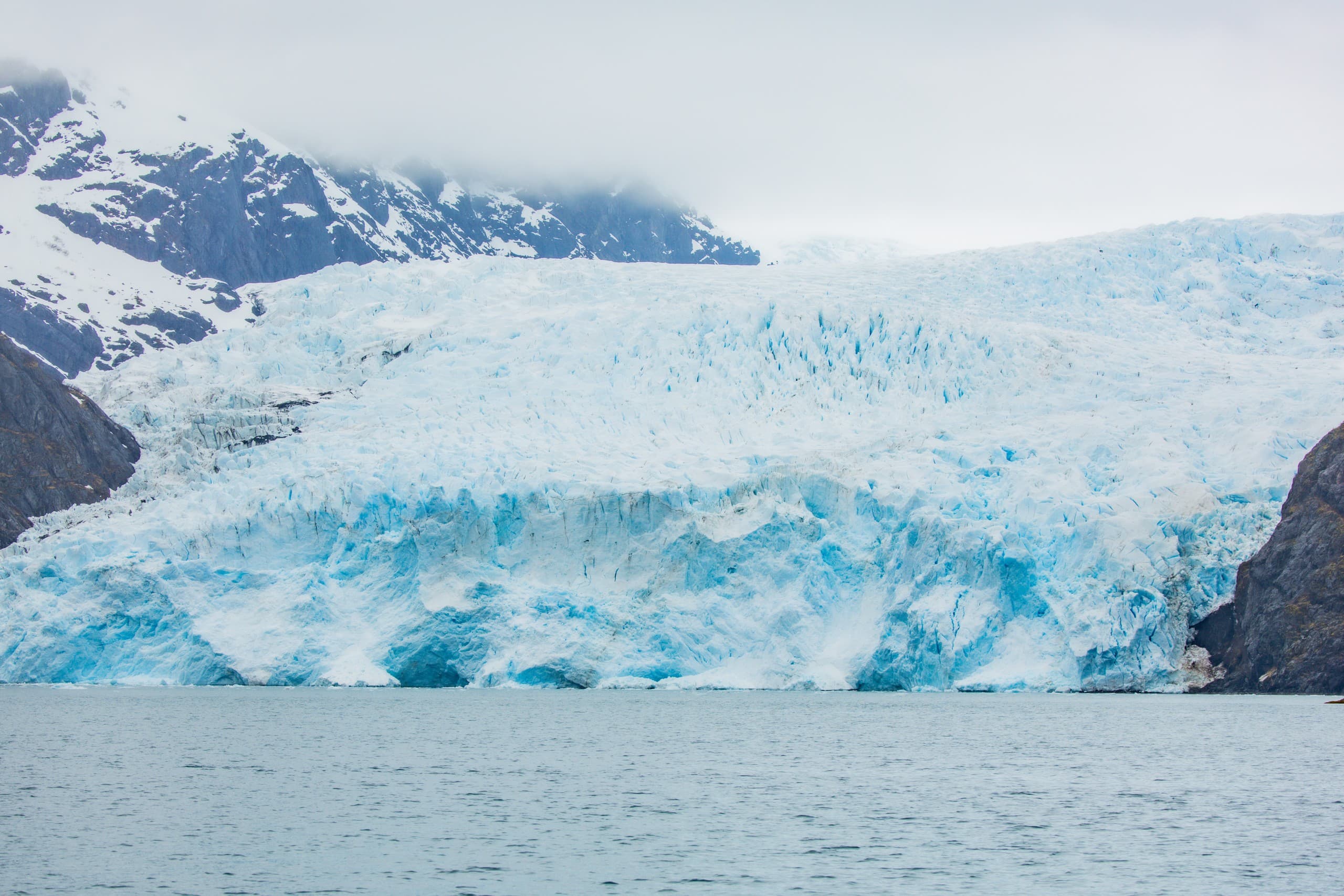 Private Hewescraft Wildlife Charter From Seward: Glacier, Whales & Puffins
