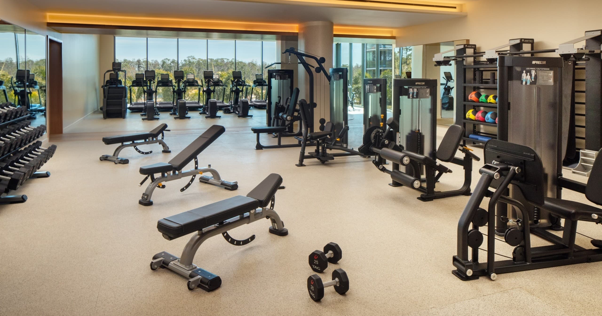Morning Guided Stretch at Conrad Orlando Hotel