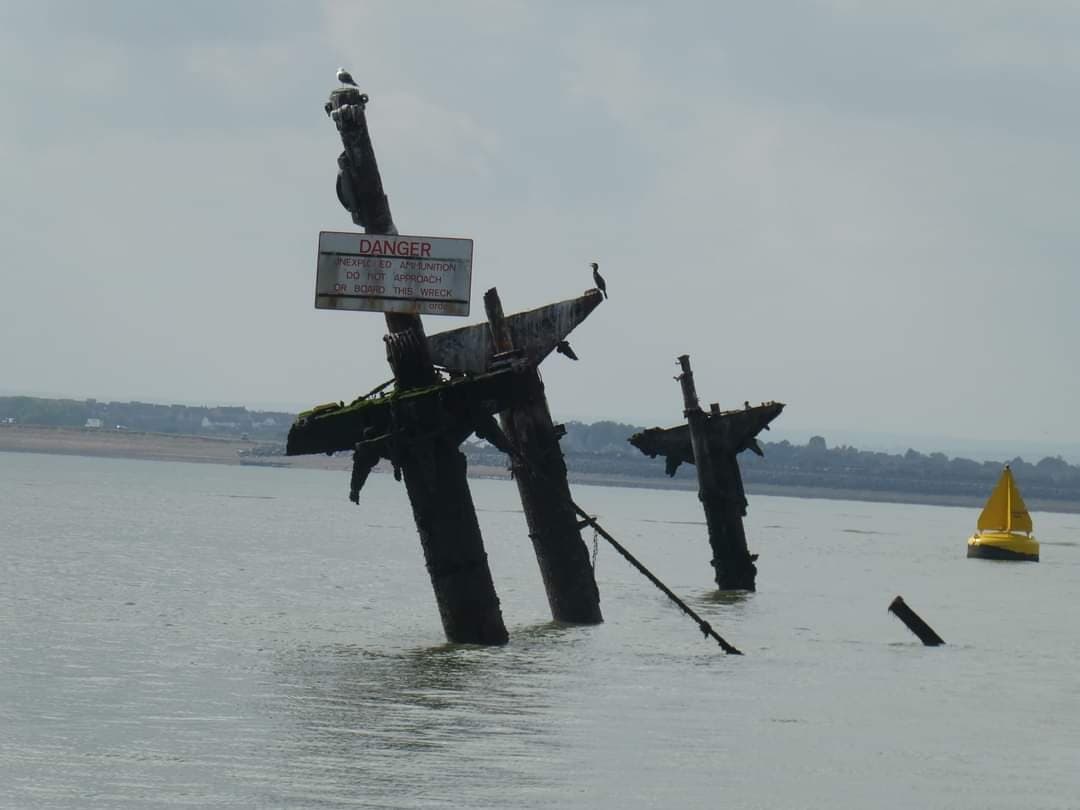 Thames Estuary Wreck & Wildlife Trip with Brownes Boat Trips