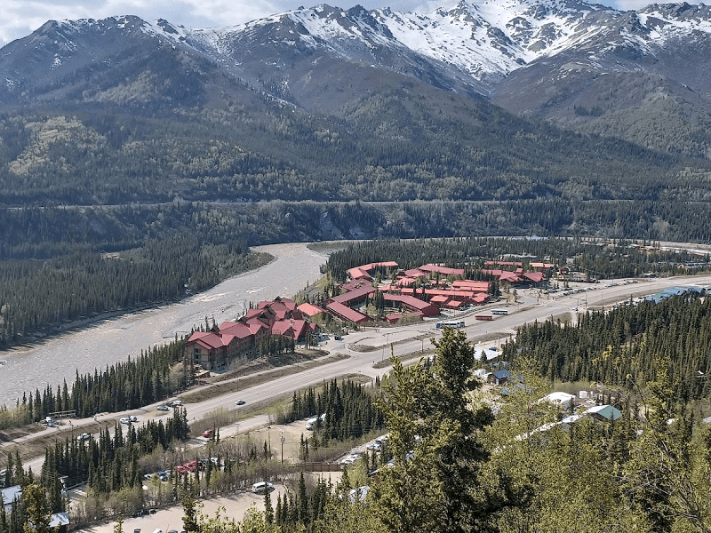 Denali 3-Day Luxury Pre-Cruise: Dome-Car Rail, Wildlife & Lodge Stays photo 3