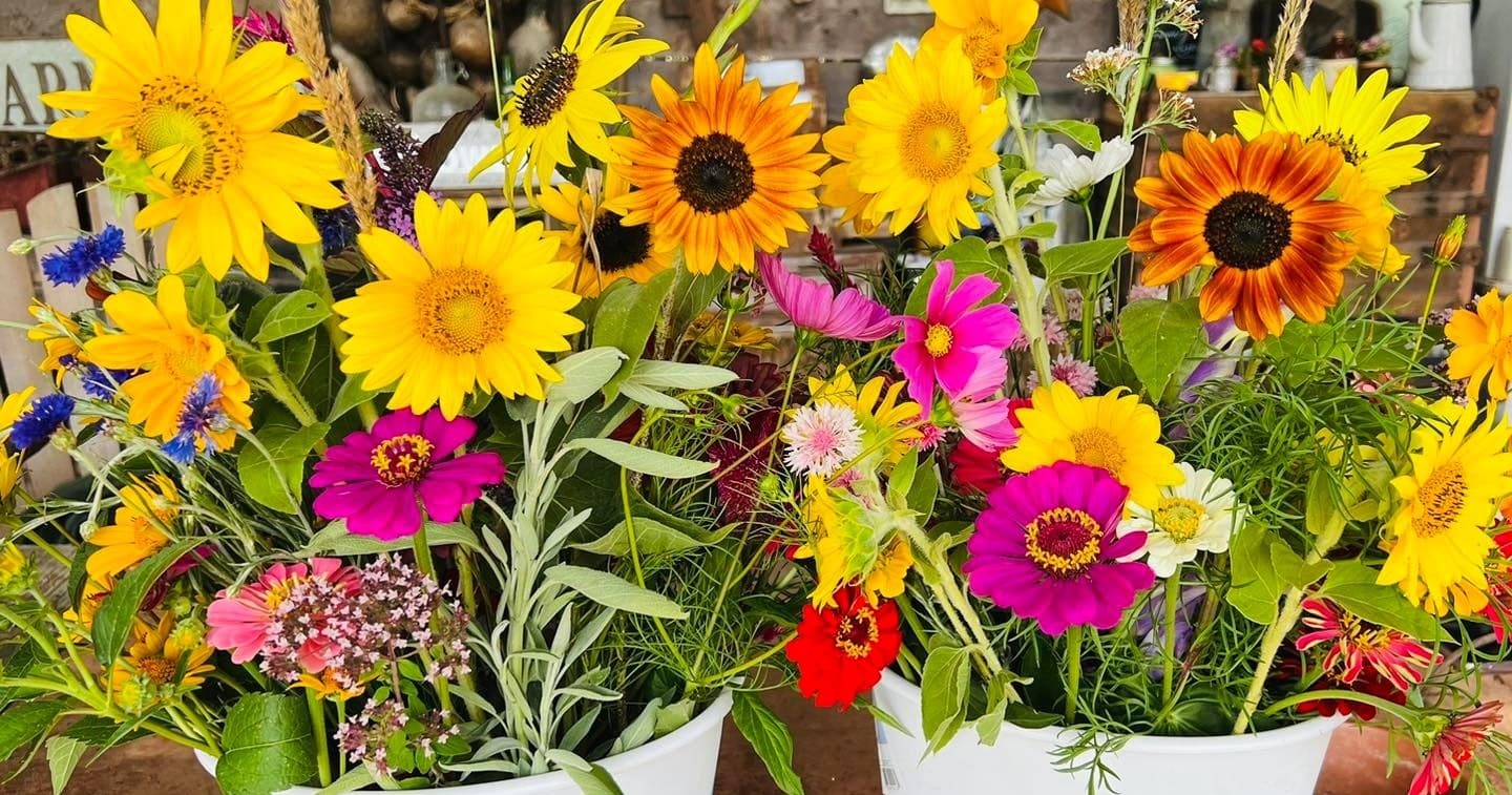 Sunflower Picking & Nature Days at The Sunflower Garden