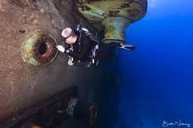 Private Island Diving Week at Belize's Blackbird Caye — Great Blue Hole & Turneffe Reefs photo 2