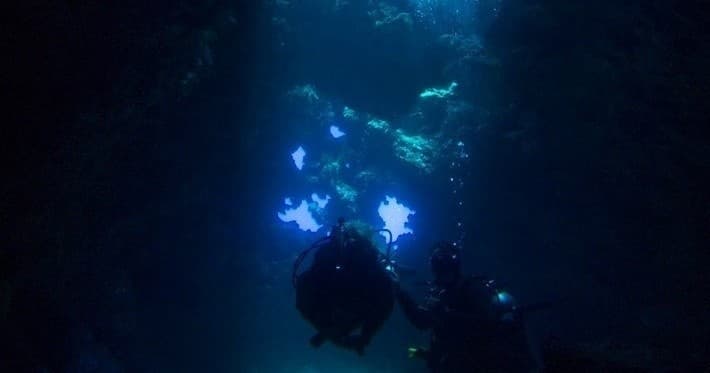 Scuba Diving Lanai’s Cathedrals with Maui Diamond Sea Sports photo 1
