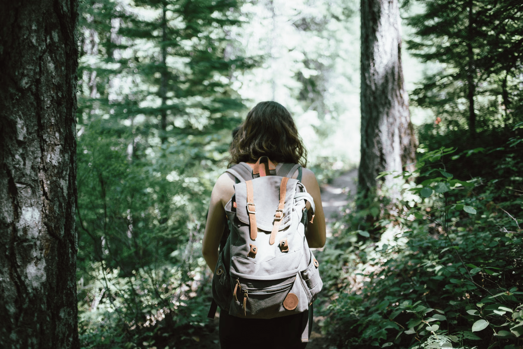 Backpacker hiking through dense forest on exploratory trek