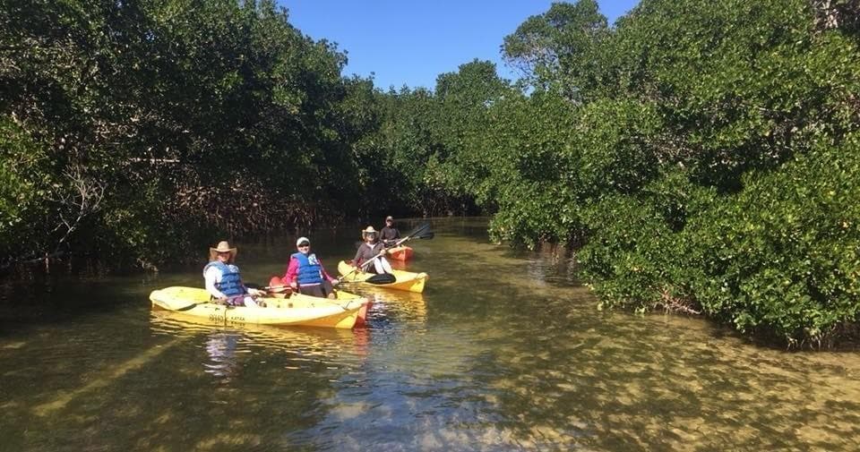 Kayaking & Paddleboarding Adventure on Longboat Key, FL