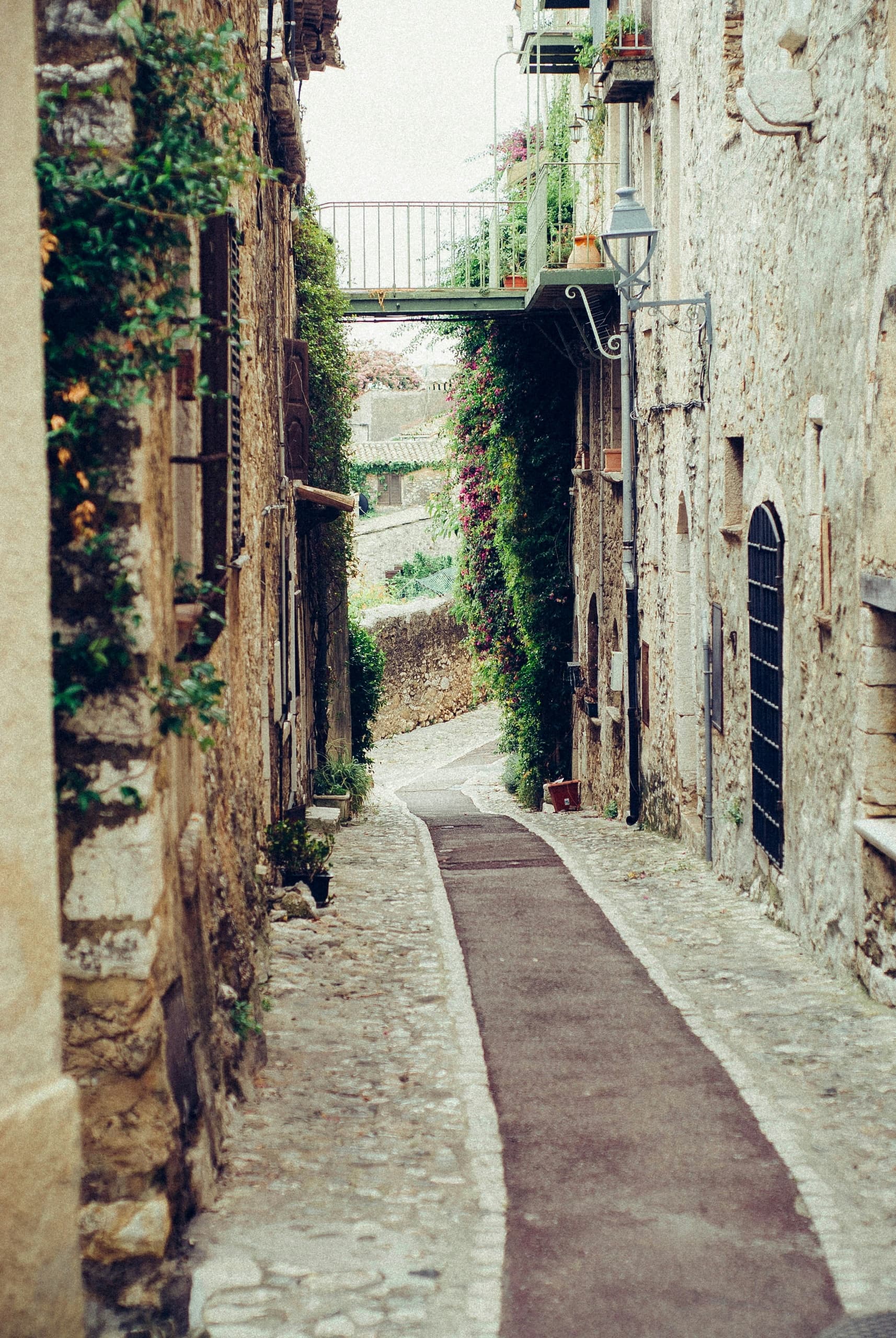 Bike Rentals in Bari with Velo Service for Authentic Puglia Journeys