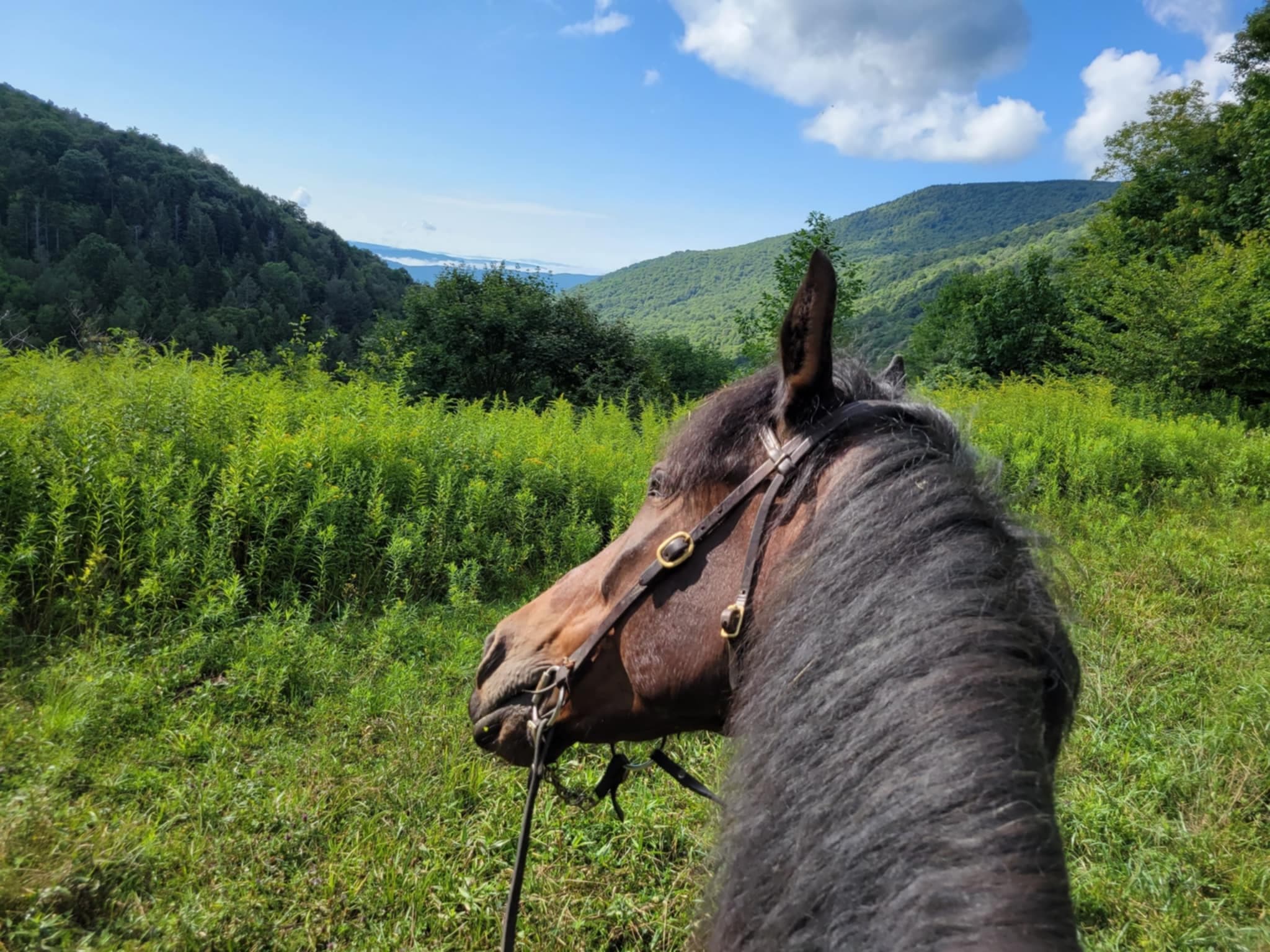 Explore Snowshoe Mountain on an Epic 3-Hour Advanced Trail Ride