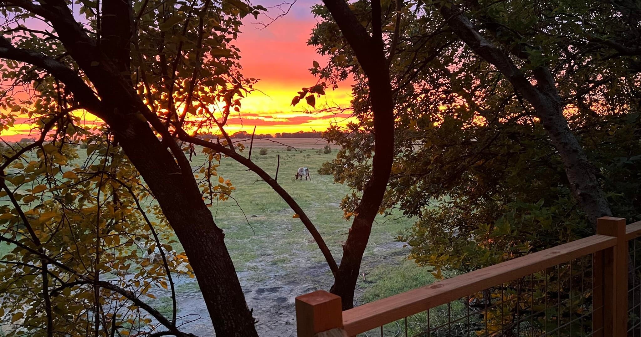 Sunset over ranch fields and oak trees at Diamond Springs