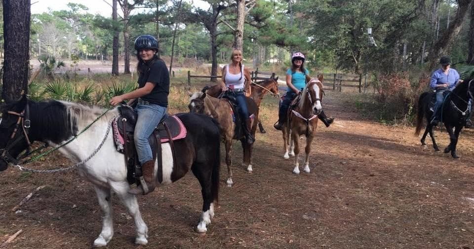 Guided horseback riding along pine forest trail with riders