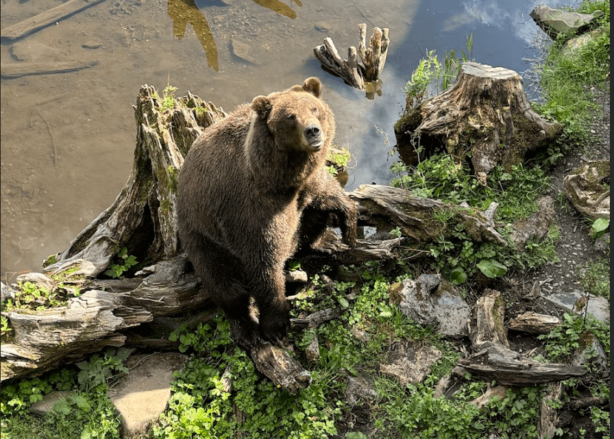 Sitka Tundra Tours team