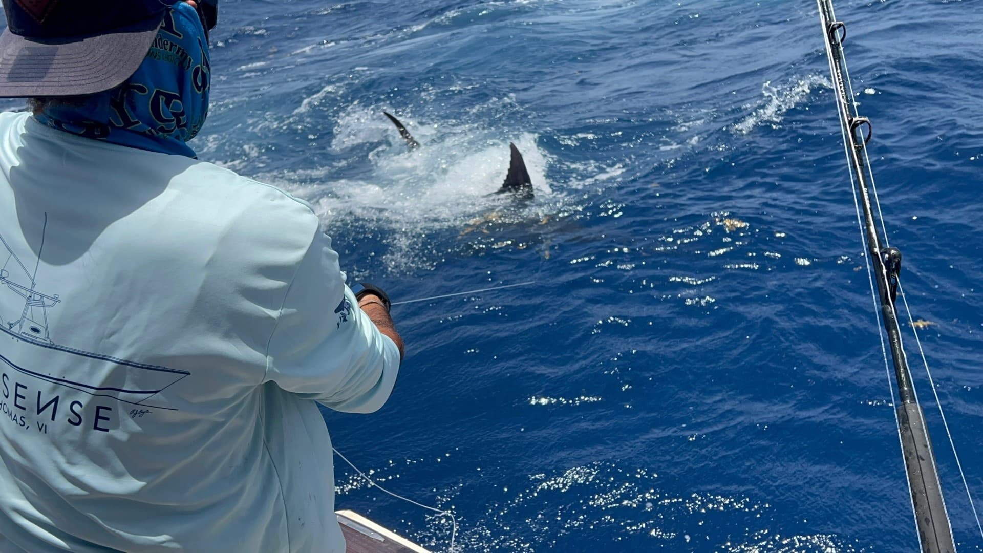 Riptide 8-Hour Marlin Charter: Offshore Marlin & Sailfish Fishing from St. Thomas