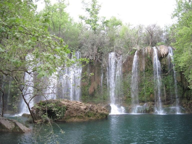 Under the Canopy at Kursunlu