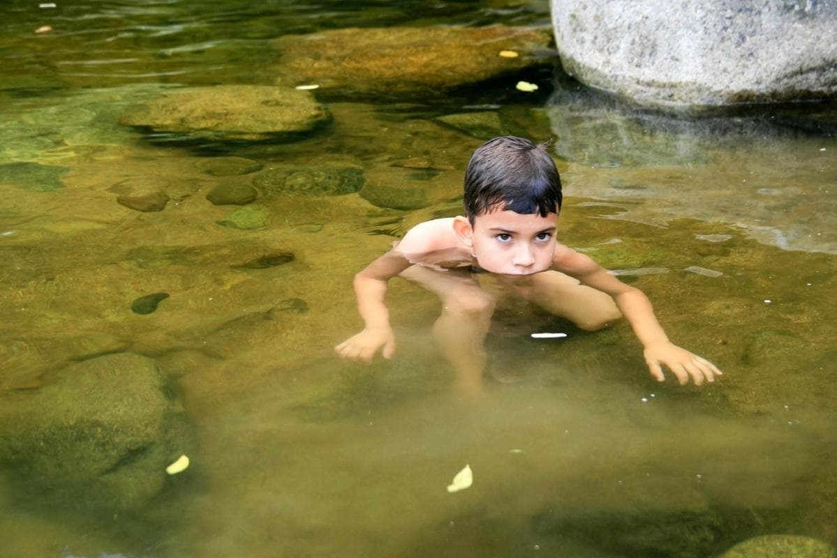 Sliding the Atlantic Forest
