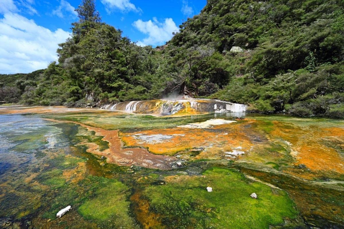 Walking the World's Youngest Volcano