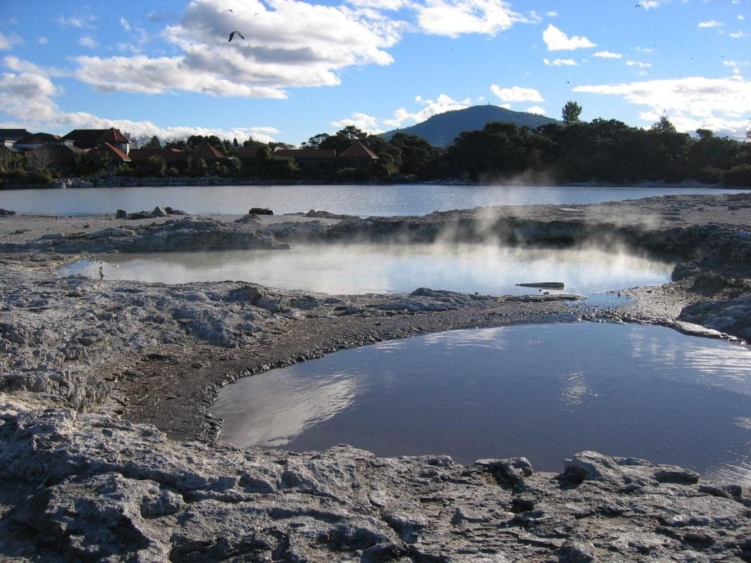 Steam, Tūī and Glow-Worms