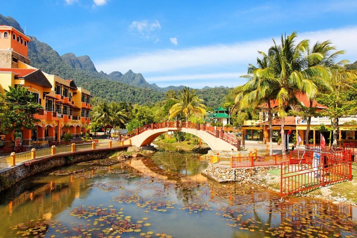 Walk the Sky and Roam the Rainforest