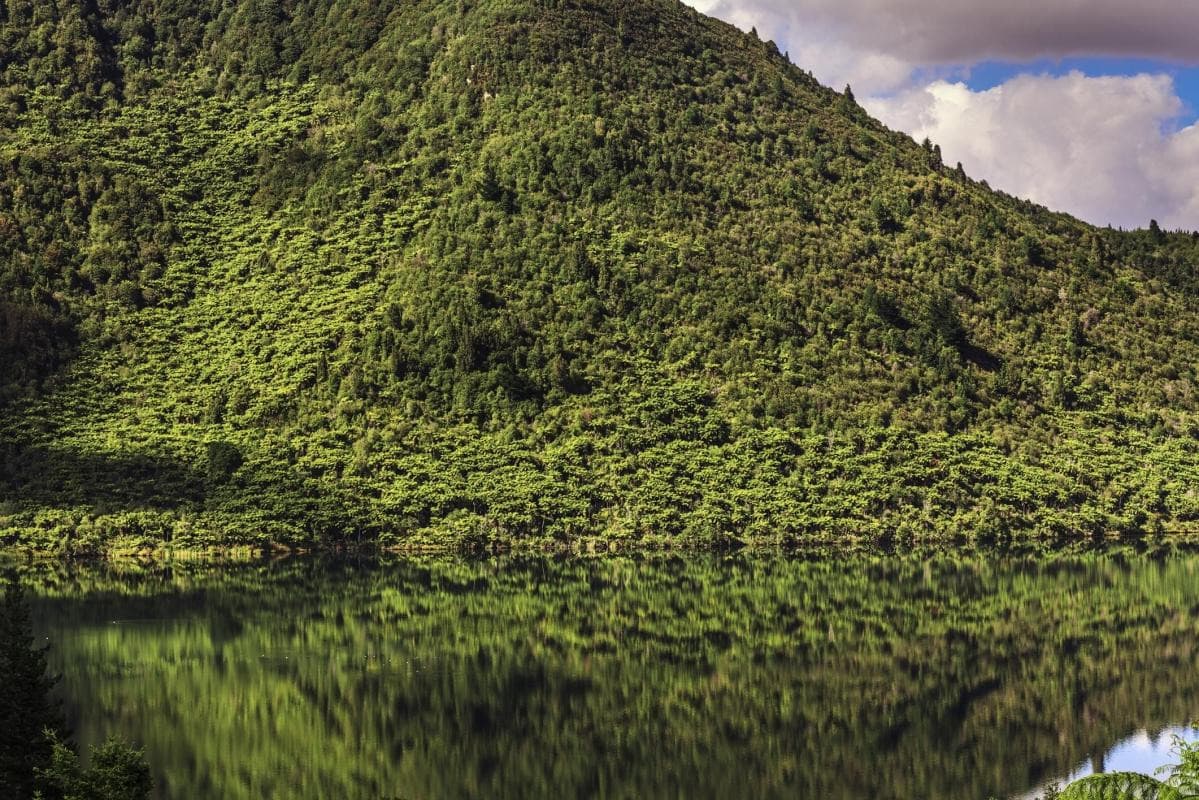 Green Mirror of Rotorua
