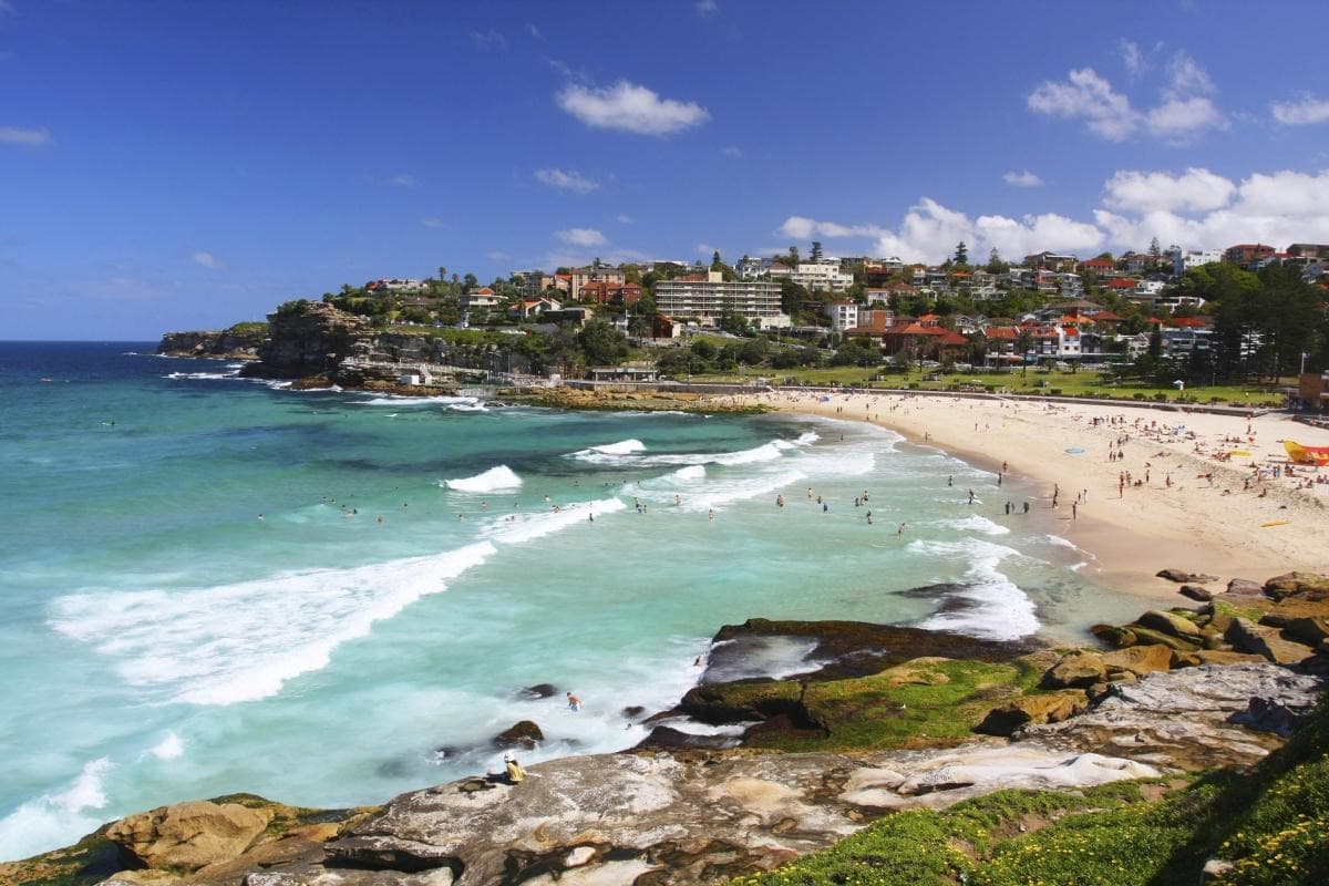 Cliffs, Pools, and Surf