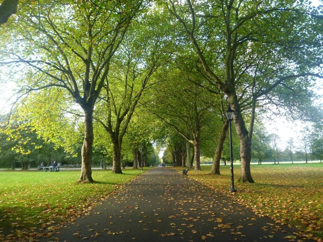 Sefton Park