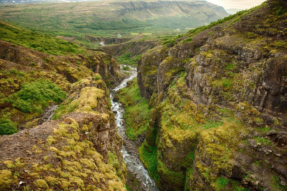 Rumble in the Canyon