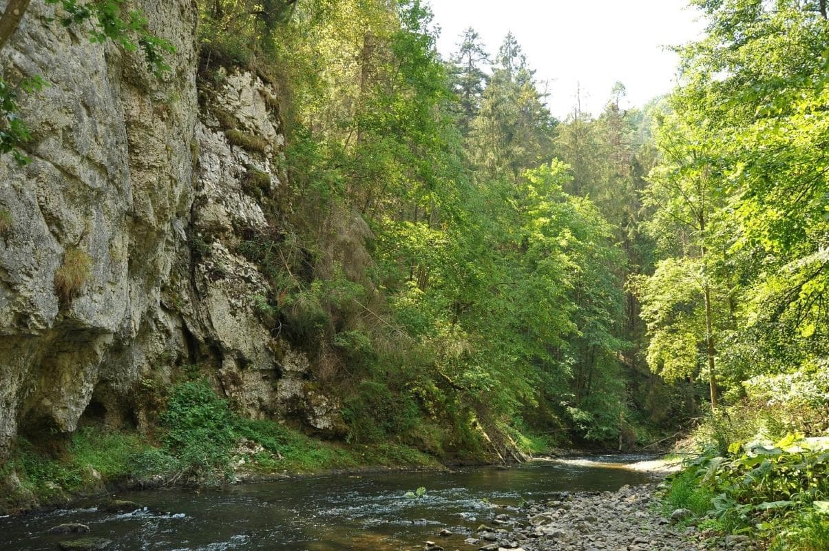Gorges and Ladders