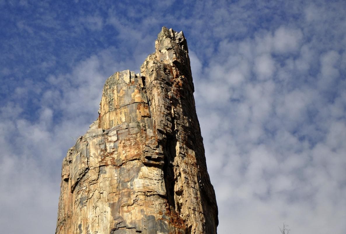 When Stone Turns to Bark