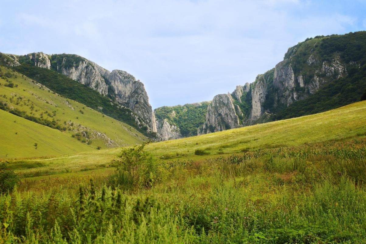 Walking the Limestone Cathedral