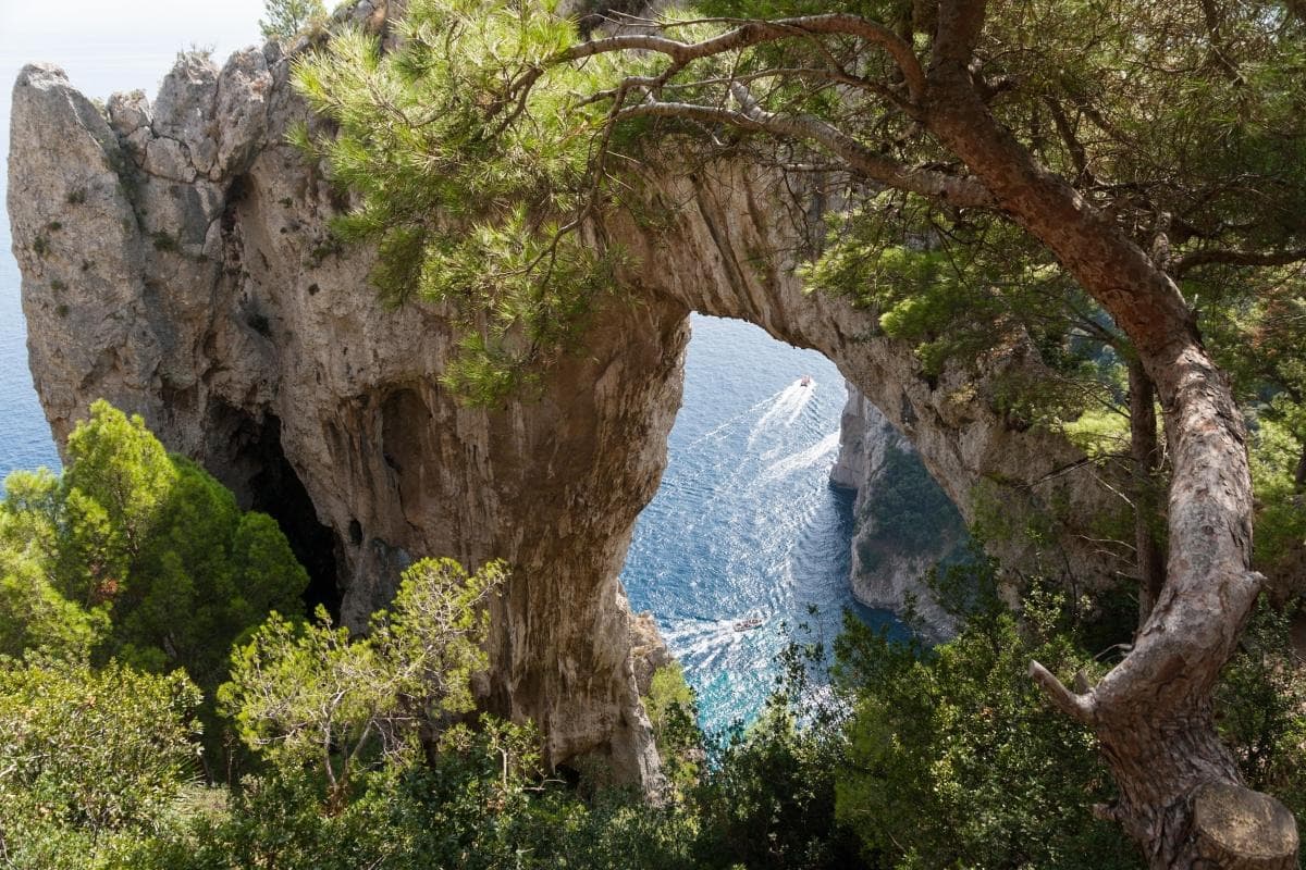Under the Arch