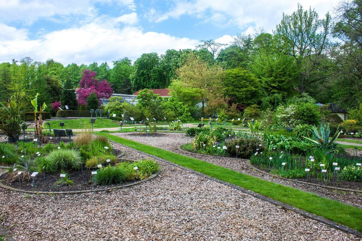 A Walk Through Münster’s Botanical Garden