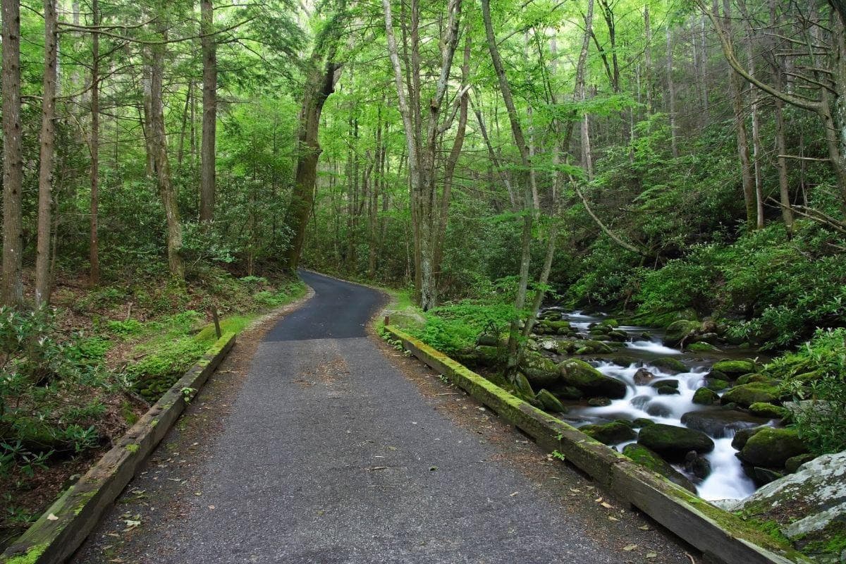Roaring Fork by Jeep