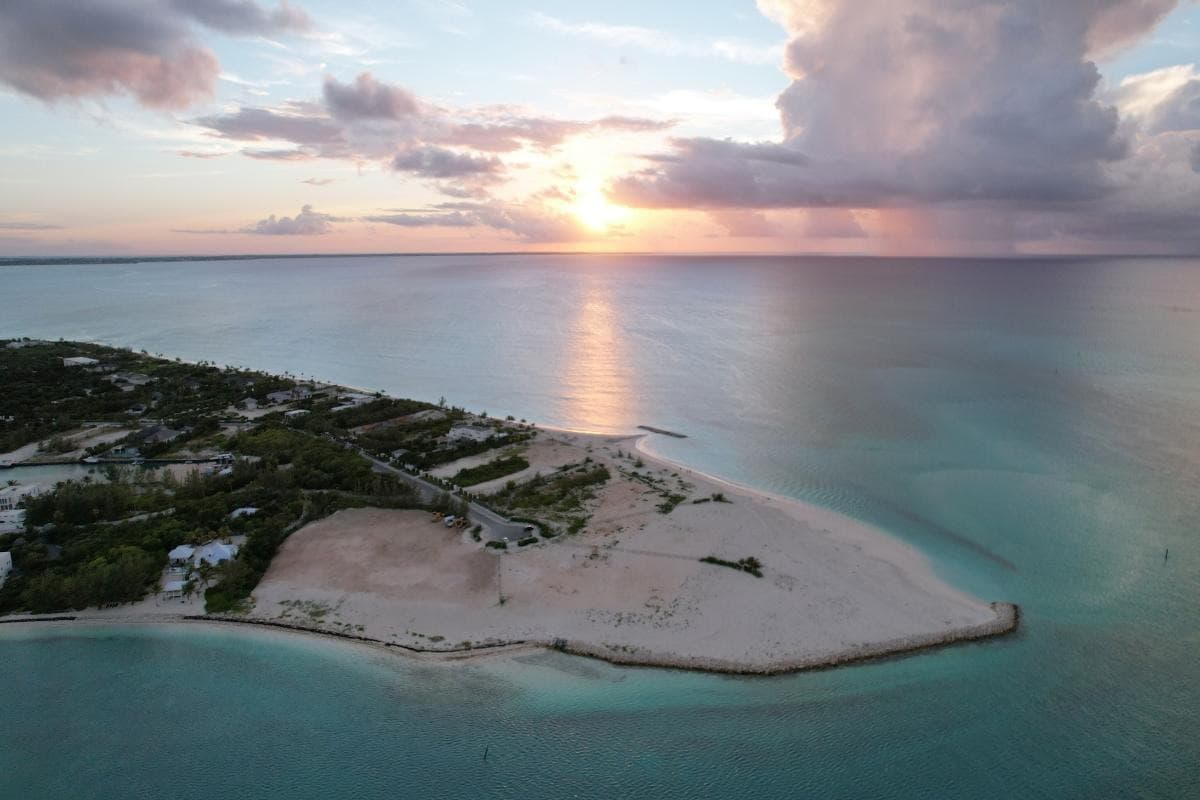 Iguana Island