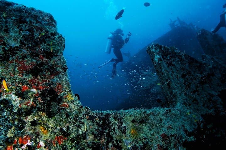 PADI Open Water Diver Course — Bangkok: Pool Training & Open-Water Dives photo 4