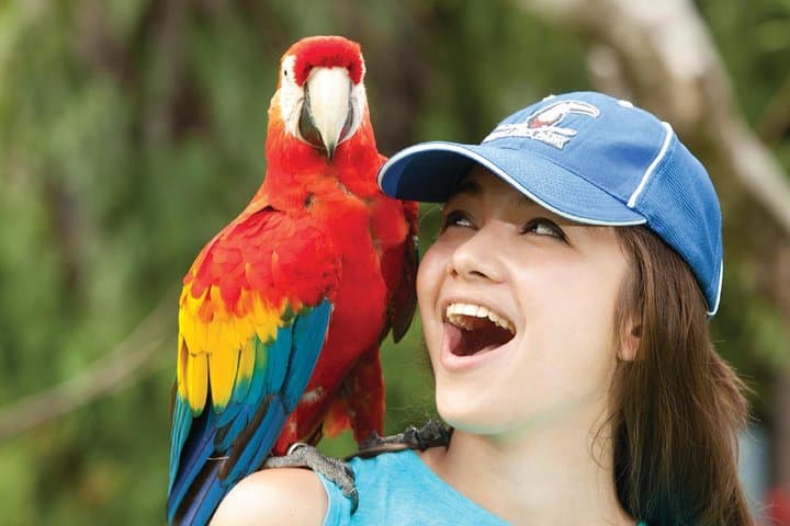 inside-bali-bird-park-a-hands-on-guide-to-the-island’s-avian-collection photo 2
