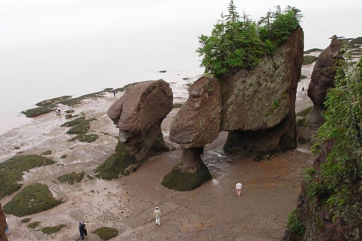 Hopewell Rocks Admission — Walk the Bay of Fundy’s Ocean Floor and See the World’s Highest Tides photo 3