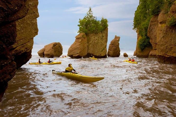 Hopewell Rocks Admission — Walk the Bay of Fundy’s Ocean Floor and See the World’s Highest Tides photo 2