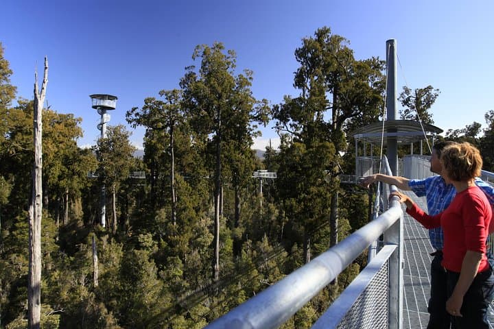 West Coast Treetop Walk - Lake Mahinapua Canopy Experience