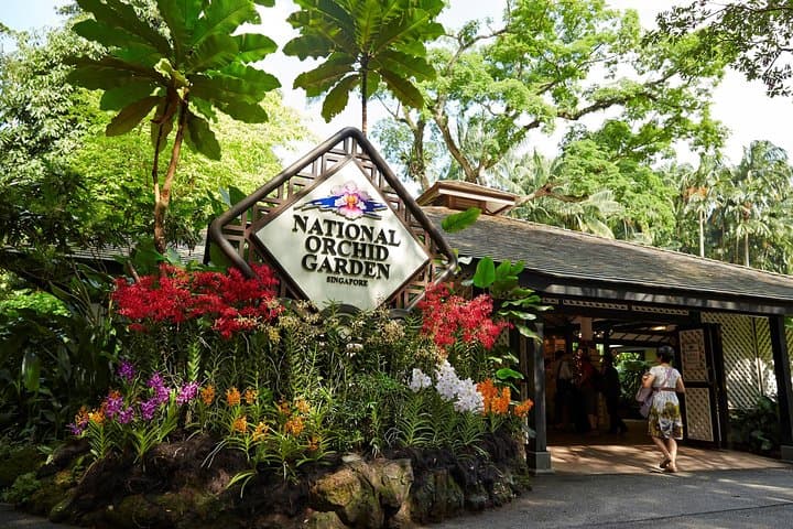 Singapore National Orchid Garden: Tickets, Tips & What to Expect