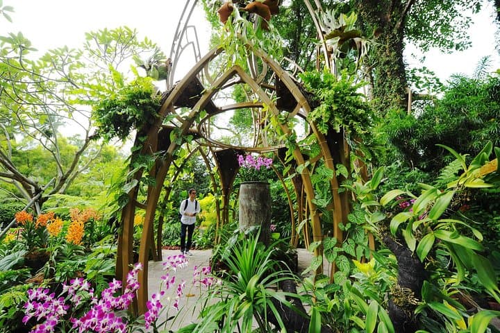 Singapore National Orchid Garden: Tickets, Tips & What to Expect photo 2