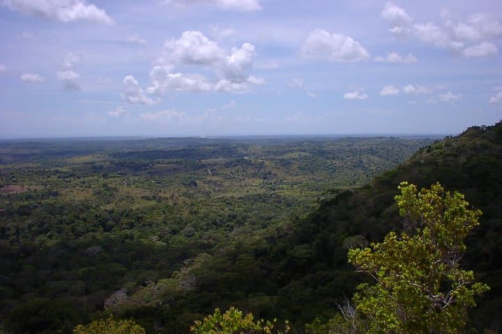 Shimba Hills Safari and Waterfall Hike — Day Trip from Mombasa