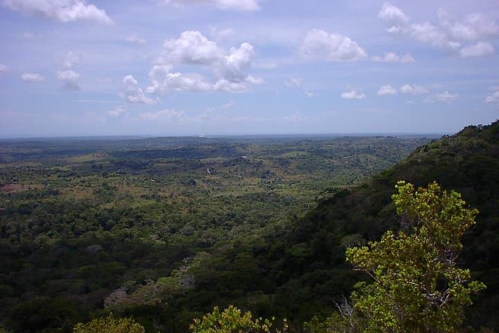 Shimba Hills Day Safari from Diani Beach: Sheldrick Falls & Coastal Forest Game Drive