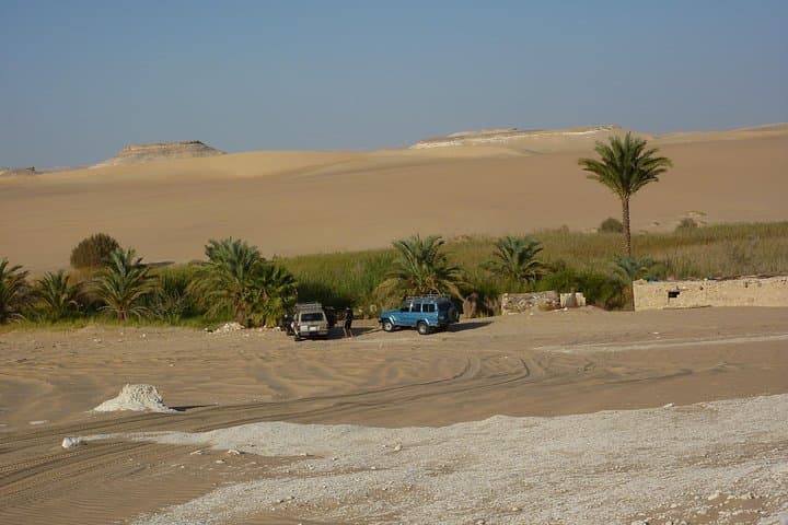 Siwa Oasis Multi-Day Desert Tour: From Cairo to the Great Sand Sea photo 2