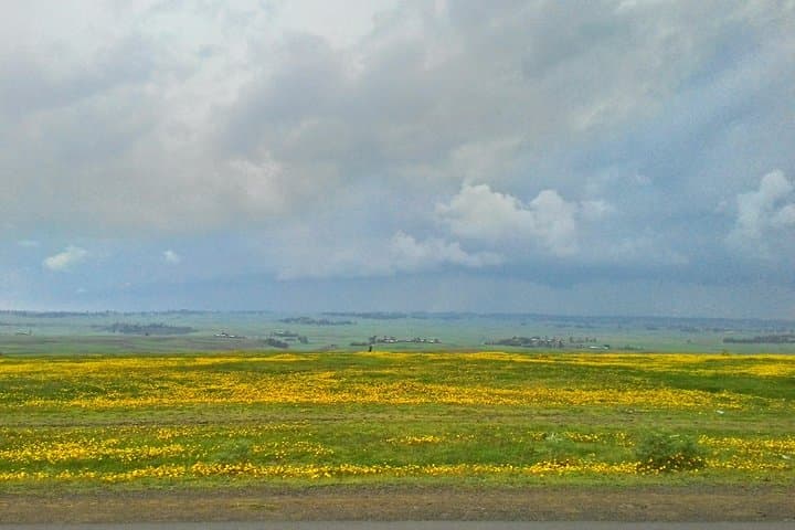Ethiopian Rift Valley Lakes & Tiya Steles Day Trip from Addis