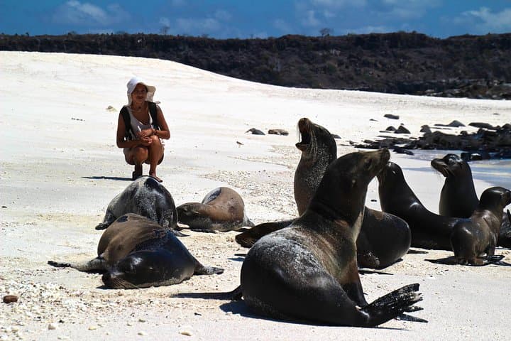 5-Day Galapagos Highlights: Island Hopping from Puerto Ayora