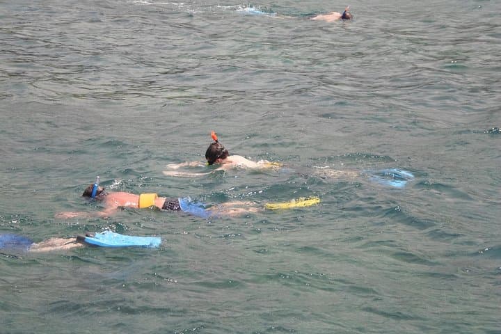 Private Montego Bay Snorkel Tour & Shore Excursion — Reefs, Glass-Bottom Boat & Beach