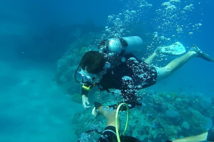 Discover Scuba Diving in Negril: Beginner-Friendly Dives at Jamaica's West End photo 2