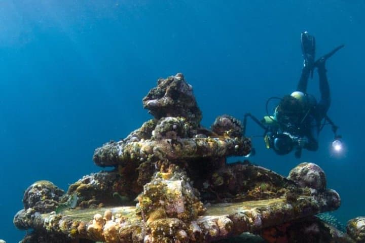 Get PADI Certified in Montego Bay: 2–4 Day Scuba Courses for Vacationers