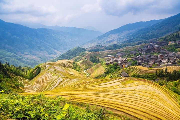 Explore Longji (Dragon's Backbone) Rice Terraces and Minority Villages — Day Tour from Guilin photo 1