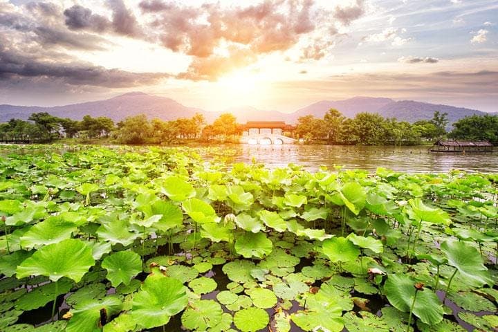 Hangzhou West Lake and Meijiawu Tea Fields Private Tour