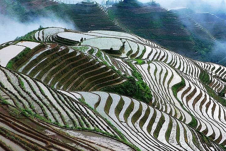 Li River Cruise & Longji Rice Terraces: Private 2-Day Tour from Guilin photo 1