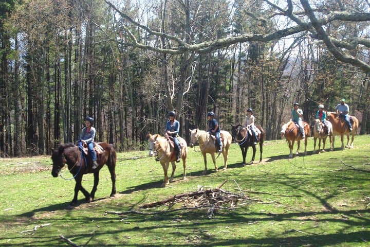 Horseback Ride Through Flame Azalea & Fern Forest — Cullowhee's Flame-Fern Trail photo 3